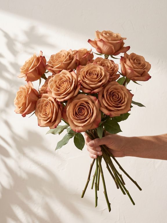 CAPPUCINO  EARTH TONE ROSES